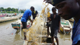 Seaweed onslaught disrupts S.Leone fishing and tourism