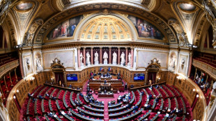 Frankreich hat endlich einen Haushalt 2025: Senat verabschiedet Gesetz