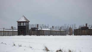 Steinmeier zu Besuch in Auschwitz eingetroffen - 80 Jahre nach Befreiung