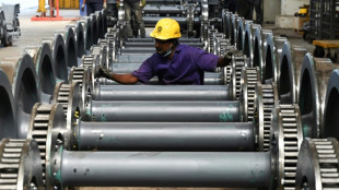 India growth slows on inflation, higher oil prices