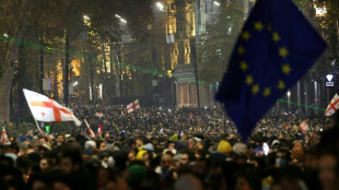 Pour l'opposition en Géorgie, la manifestation comme remède à la mélancolie