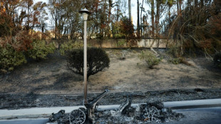 Keine Entwarnung bei Bränden in Los Angeles - Weiterhin starker Wind vorhergesagt