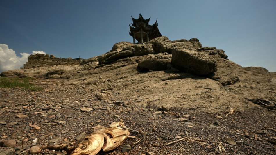 China warns of 'severe' threat to harvest from worst heatwave on record