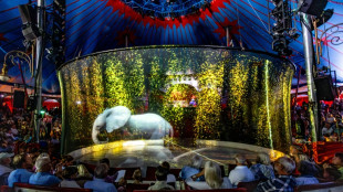 German circus replaces live animals with holograms