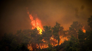 Canicule : quelques 2.000 personnes évacuées d'une île grecque en flammes, les Etats-Unis écrasés par la chaleur