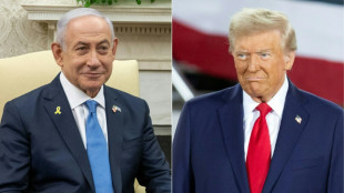 Trump reçoit Netanyahu, dit que les Palestiniens "adoreraient" quitter Gaza