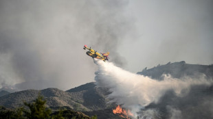 La Grèce en proie à la canicule et aux feux, un bombardier d'eau s'écrase en Eubée