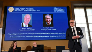 Duo wins Physics Nobel for 'foundational' AI breakthroughs