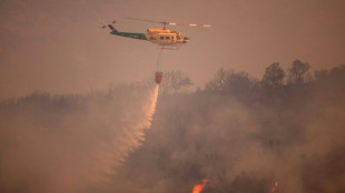 Europa occidental, asfixiada por las altas temperaturas y los incendios