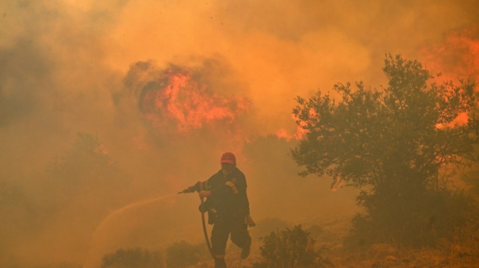 Europe suffered record number of 'extreme heat stress' days in 2023: monitors