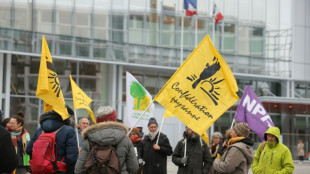 Elections agricoles: la CR revendique une large percée après les premiers résultats provisoires