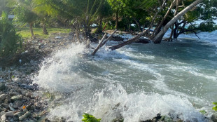 Les îles du Pacifique lancent un partenariat pour assurer leur survie