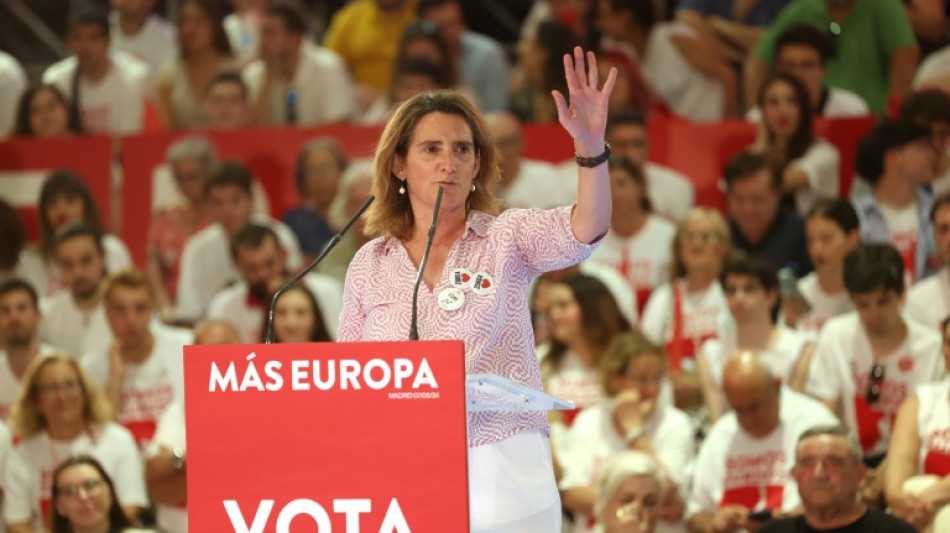 Teresa Ribera, the Spanish climate expert tipped to become EU commissioner