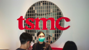 TSMC to launch chipmaking plant in Japan, but US plant to face delays