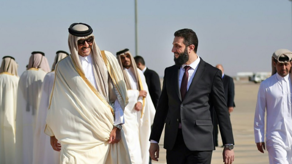 Syria, Qatar discuss reconstruction during emir's visit