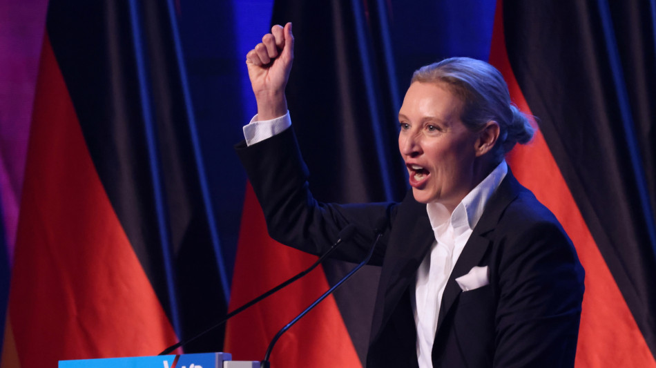 Weidel, 'la vera svolta sui migranti possibile solo con l'Afd'