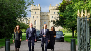 Les princes William et Harry, leurs épouses Kate et Meghan ensemble pour un bain de foule à Windsor