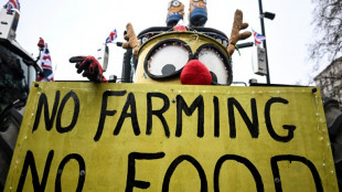 Royaume-Uni: des dizaines de tracteurs devant Westminster contre une taxe sur la succession