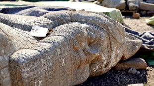 Iraqi archaeologists piece together ancient treasures ravaged by IS