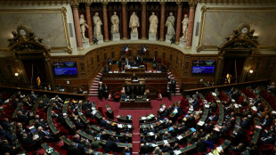 Budget de l'Etat: le Sénat revote plusieurs mesures pour rectifier le tir