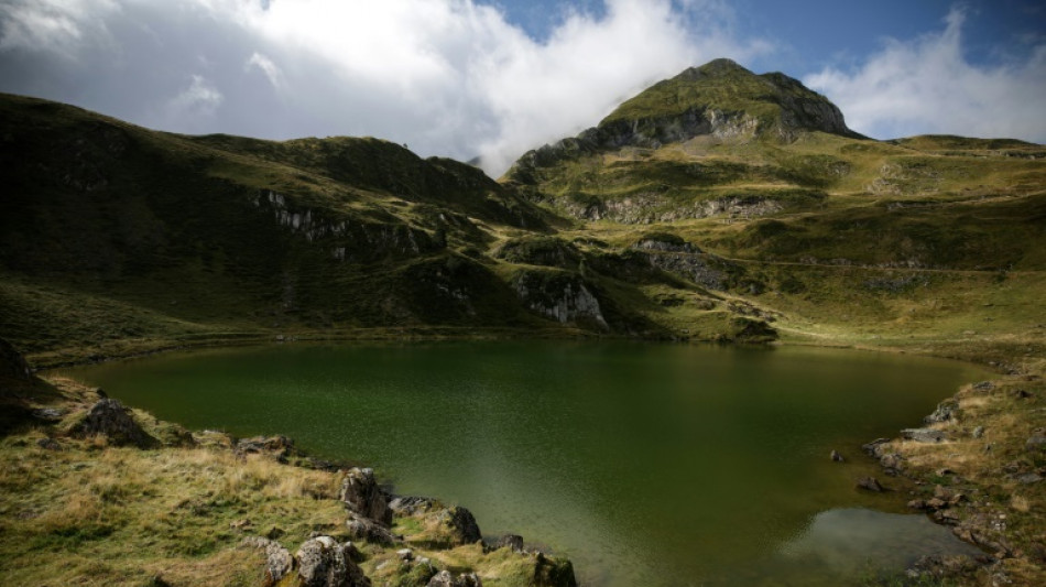 Minnows blamed for algae-filled French, Spanish lakes