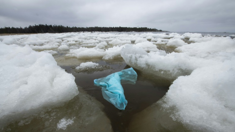 "Réutilisation, recyclage et alternative", la triple solution de l'ONU contre la pollution plastique