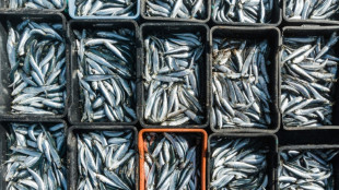 WTO fishing deal hailed as historic though 'not perfect'