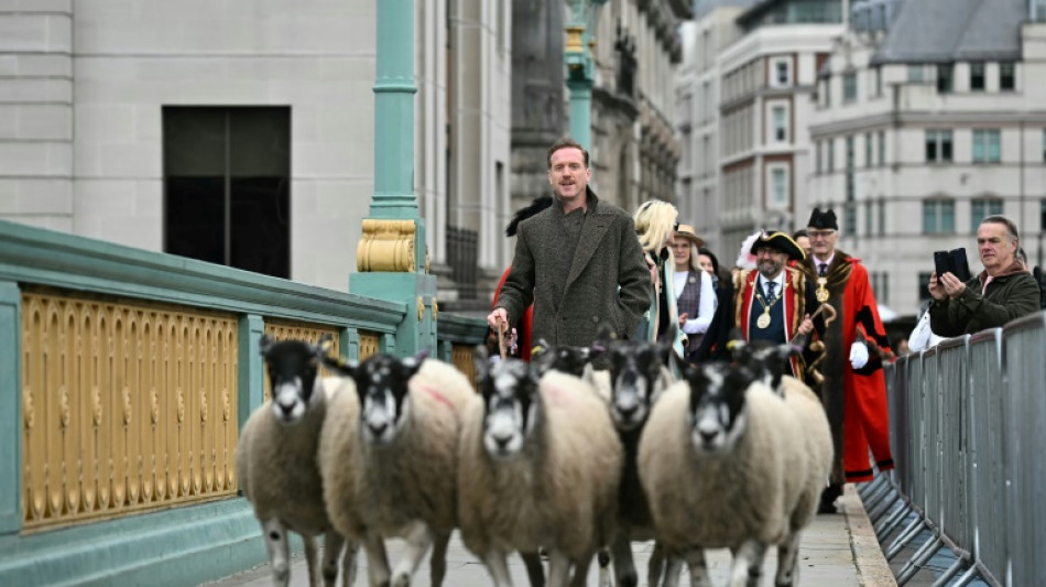 Hollywood's Damian Lewis herds sheep across bridge in London