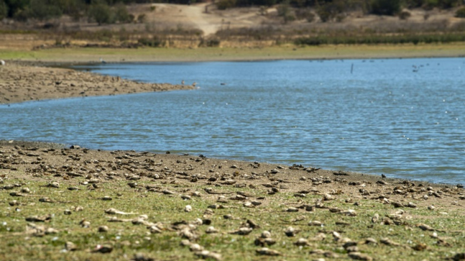 Chile anuncia plan de emergencia ante posible racionamiento de agua en Santiago