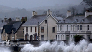 Sturm "Eowyn" richtet in Irland und Großbritannien Verwüstungen an