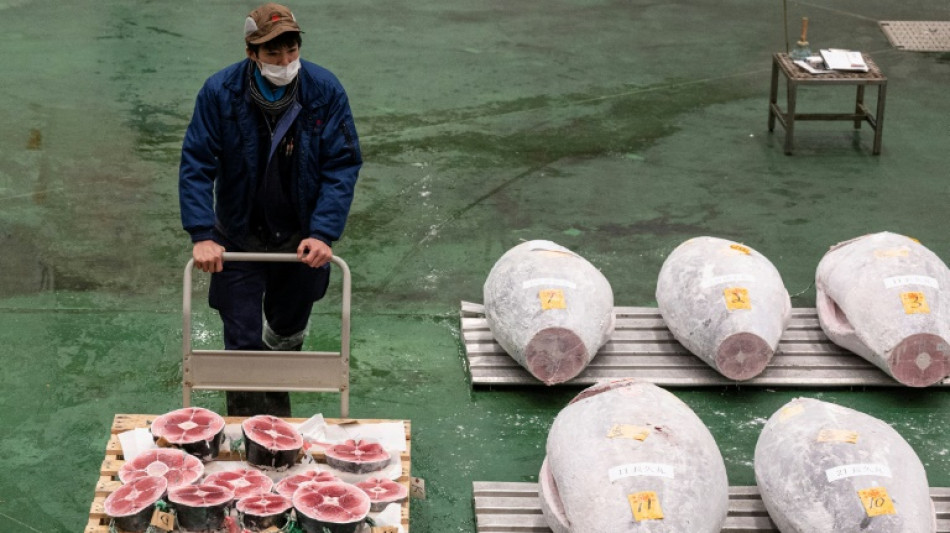 Japan tuna price soars past $270,000 at New Year auction