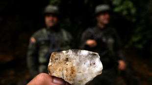 A batalha contra a mineração ilegal de ouro na Colômbia