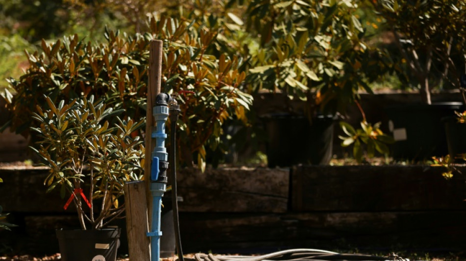 Le jardin, passion anglaise menacée par la sécheresse 