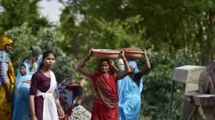 India's women water warriors transform parched lands