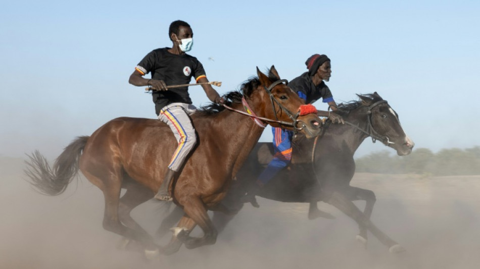 Courses hippiques dans le far-west tchadien 