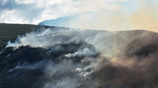 Argentina apunta a un grupo mapuche y a su líder por los incendios en la Patagonia