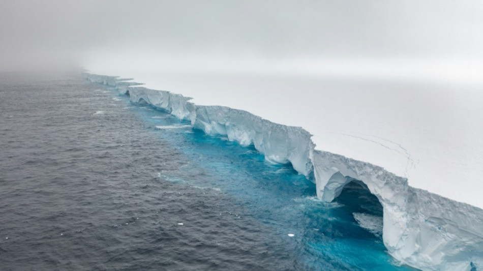 ¿Dónde terminará el iceberg más grande del mundo?