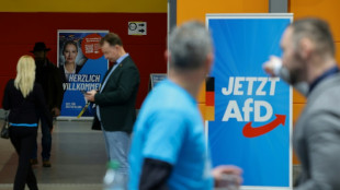 Gericht: Verfügung gegen KI-generierten AfD-Wahlwerbespot Brandenburg rechtens