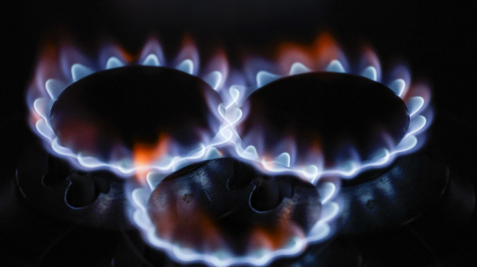 Venier, il freddo spinge la domanda di gas in Ue, +2,8% nel 2024