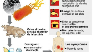 E.coli: des cas rares mais des complications dangereuses