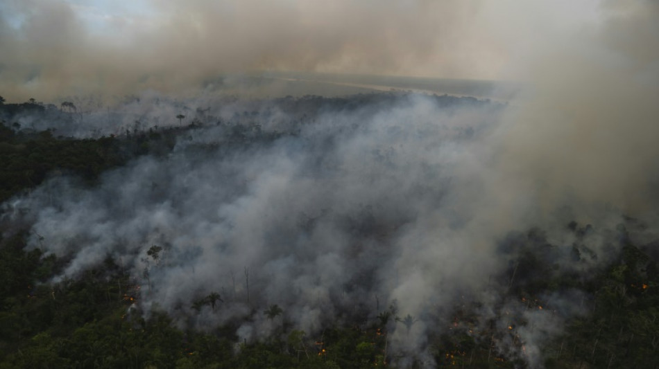 Brésil: déforestation record en Amazonie pour un mois de février