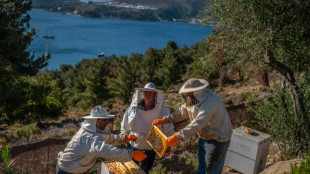 'Soul relief': Bees help mentally ill on Greek island