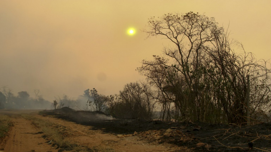 País trava 'guerra' contra queimadas