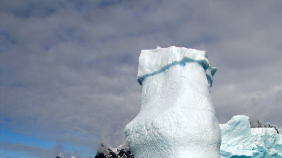 Australia moves to expand Antarctic marine park