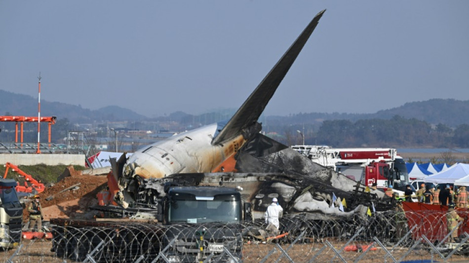 S. Korea to overhaul some airports after Jeju Air crash