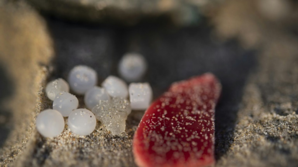 Frankreichs Justiz ermittelt wegen Plastikgranulats an der Atlantikküste