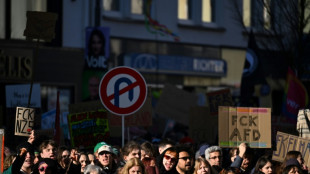 Mobilisation massive en Allemagne contre l'extrême droite