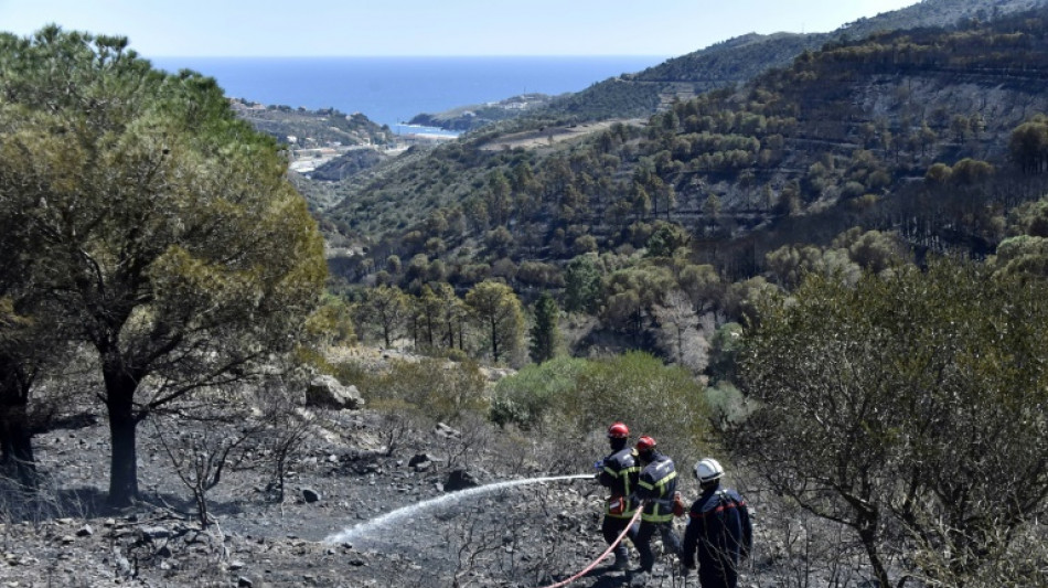 Pyrénées-Orientales: incendie maîtrisé, environ 1.000 hectares parcourus