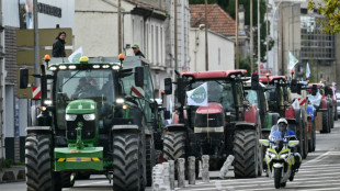 Deutsche Bauern fordern Stopp von EU-Mercosur-Abkommen - Proteste in Frankreich