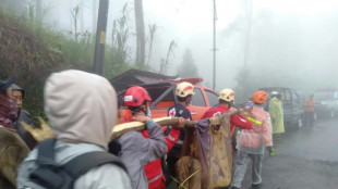 Al menos 16 muertos y 10 heridos en un deslizamiento de terreno en Indonesia